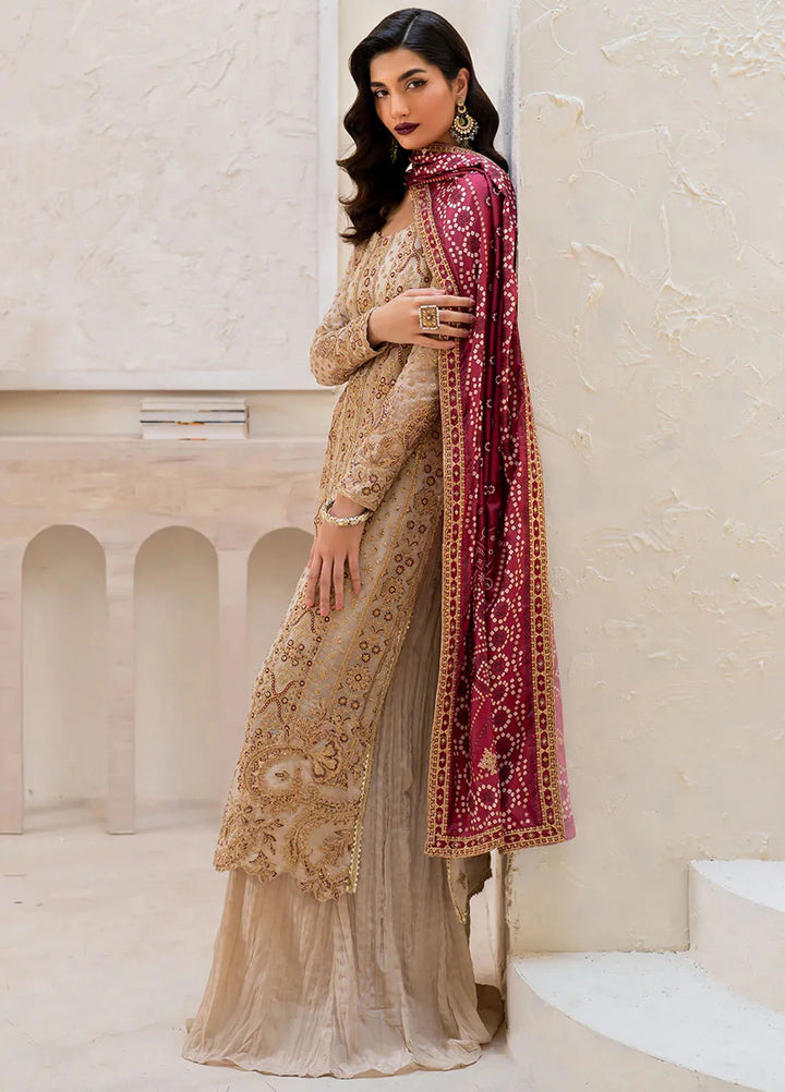 Iznik Embroidered Chiffon Suits Unstitched 3 Piece IZ24CC CC-44 - Luxury Collection