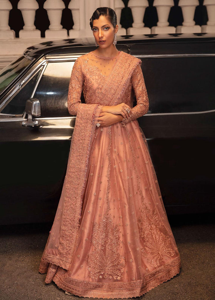 La Royale By Iznik Embroidered Net Suits Unstitched 3 Piece IZ22R IRC-06 Mellifluous - Luxury Collection