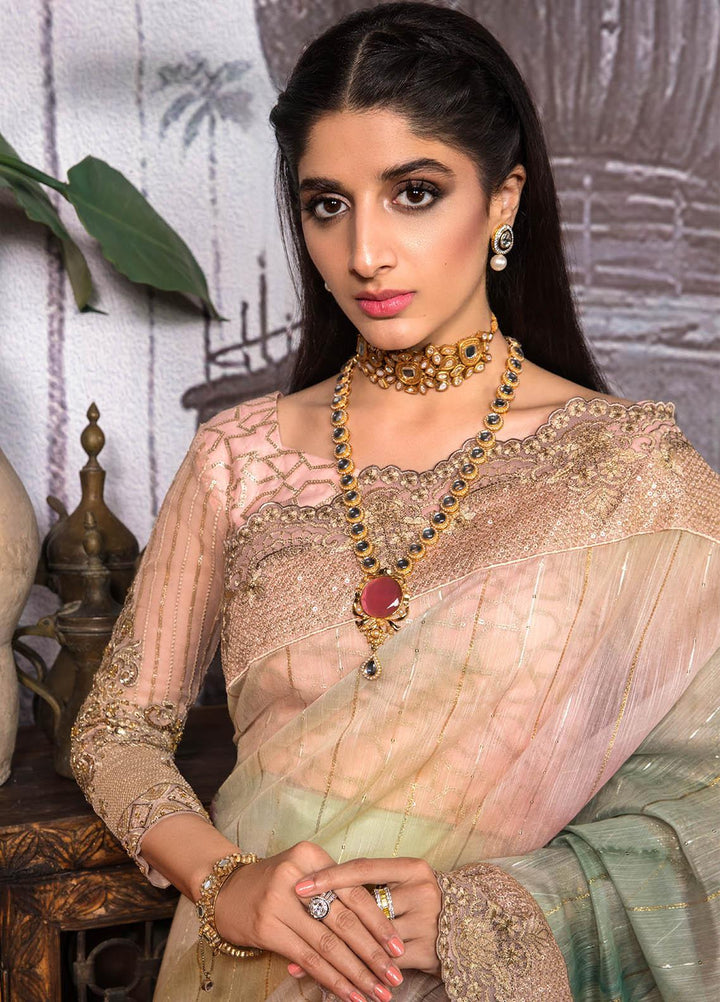 Jahan Aara By Nayab Embroidered   Unstitched Saree NB23JA NS-001 Dhanak - Premium Collection
