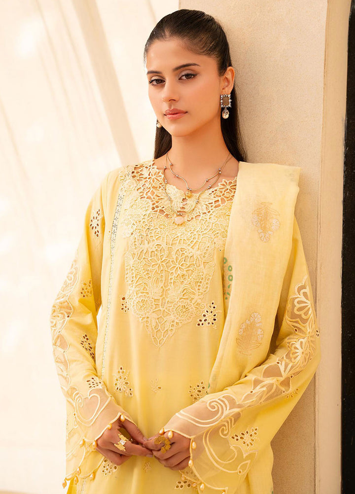 Jahan by Rajbari Embroidered Lawn Suits Unstitched 3 Piece RB25JPF D-6 A Oriya - Summer Collection