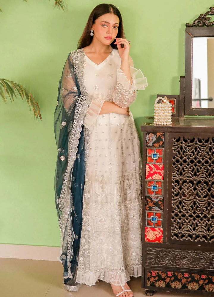 Jashan-e-Eid By Noorma Kaamal Embroidered Net Unstitched Suits 3 Piece NK23JE NK-JE03 - Festive Collection