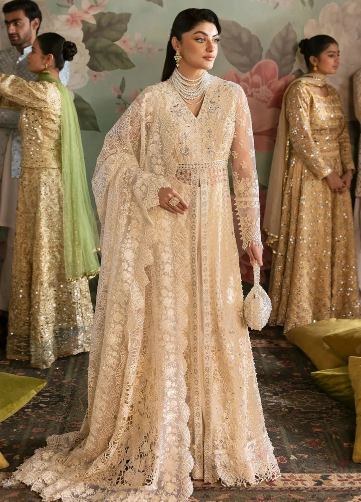 Jashn by Imrozia Serene Embroidered Net Suit Unstitched 3 Piece IM25J SB-35 Parnoor - Formals Collection