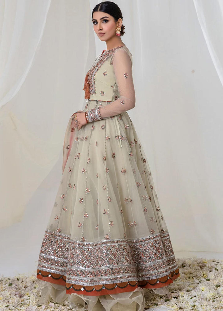 Jazmin Embroidered Net Suits Unstitched 3 Piece JZ23E 07 Aspen - Exclusive Collection