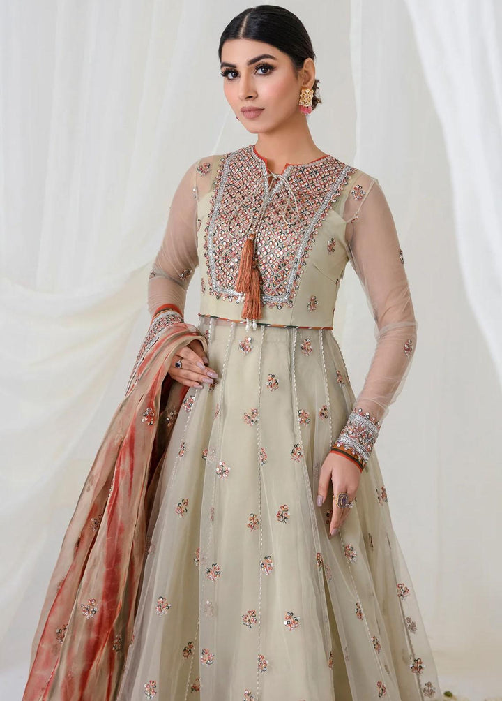 Jazmin Embroidered Net Suits Unstitched 3 Piece JZ23E 07 Aspen - Exclusive Collection