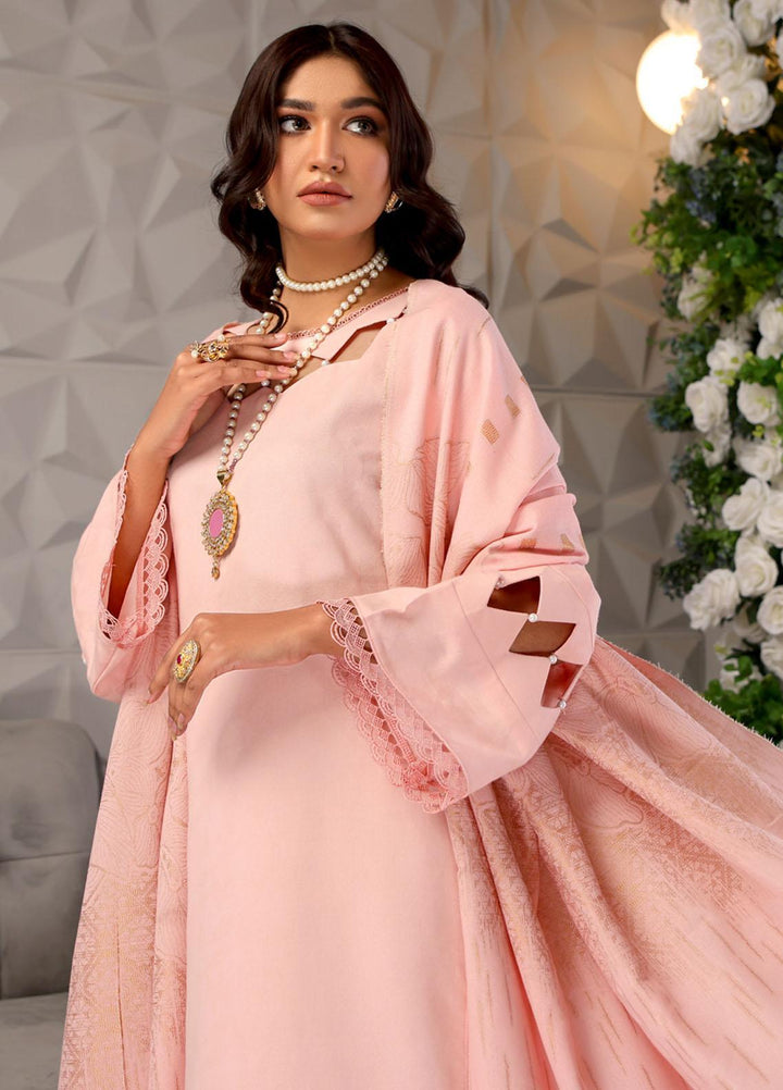 Jhalak By Humdum Embroidered Karandi Suits Unstitched 3 Piece HD23JH D-04 - Winter Collection