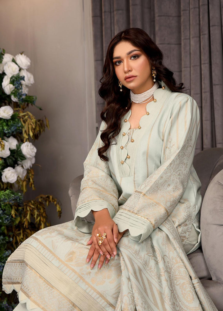 Jhalak By Humdum Embroidered Karandi Suits Unstitched 3 Piece HD23JH D-05 - Winter Collection