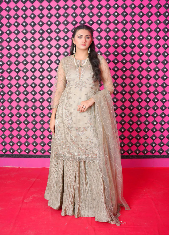 Jhankar By Zohan Ateeq Pret Embroidered Net 3 Piece Suit Rubab