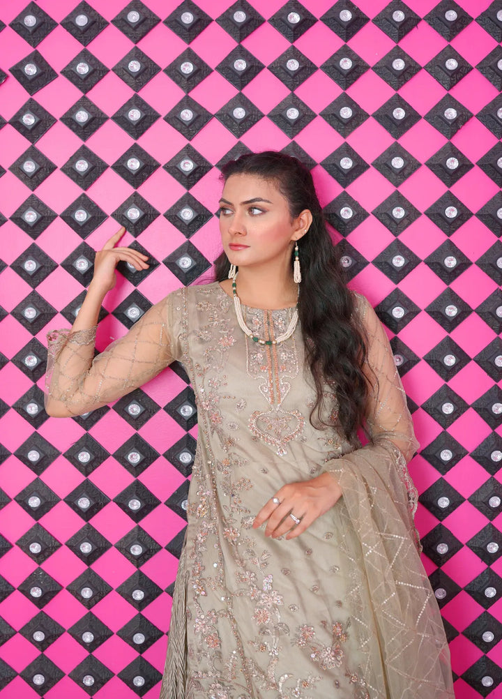 Jhankar By Zohan Ateeq Pret Embroidered Net 3 Piece Suit Rubab