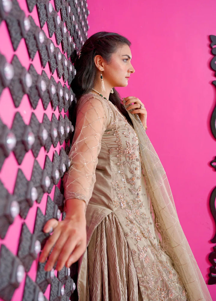 Jhankar By Zohan Ateeq Pret Embroidered Net 3 Piece Suit Rubab