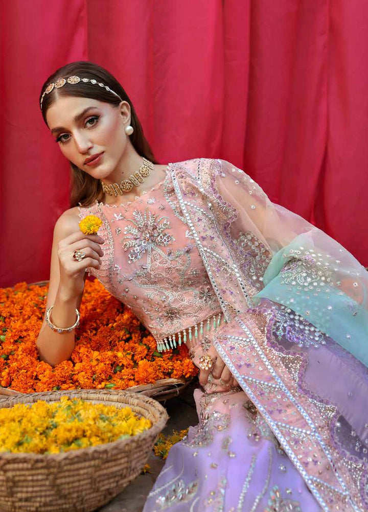 Jhoomro by Nureh Embroidered Organza Suits Unstitched 4 Piece NU25JF NL-81 B - Formals Collection