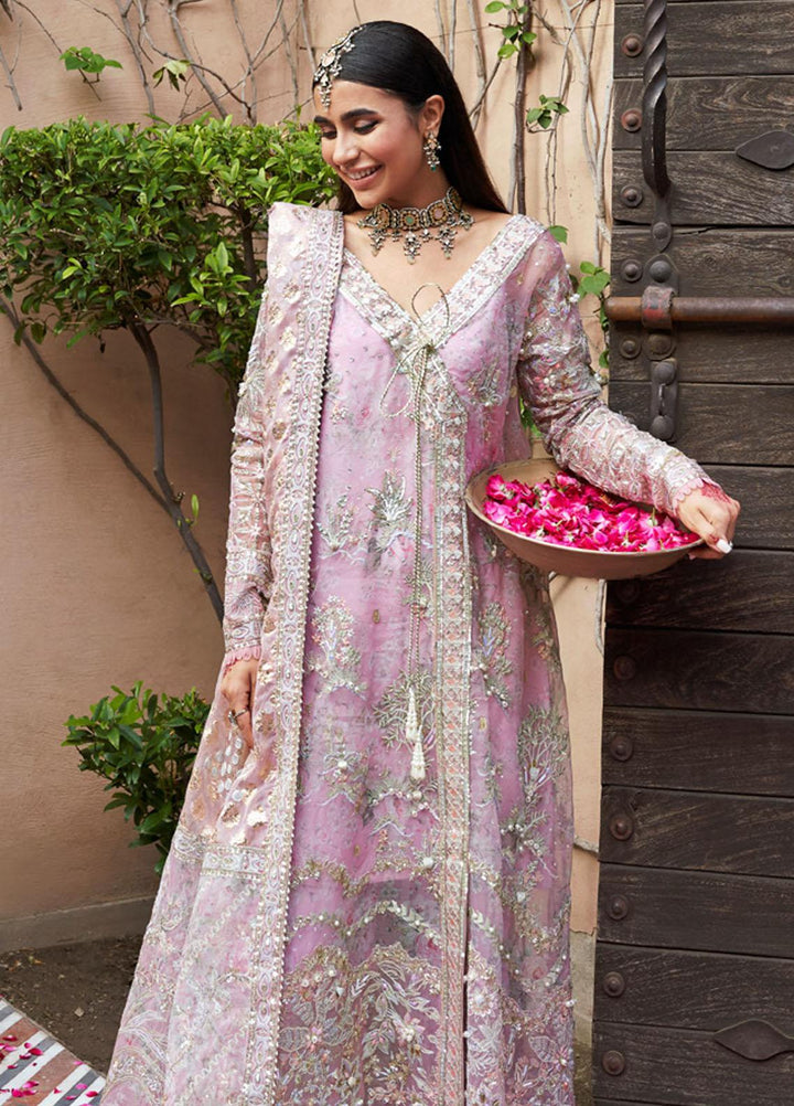 Jhoomro By Nureh Embroidered Organza Suits Unstitched 4 Piece NU23JH NL-54 Rhim Jhim - Luxury Formal Collection