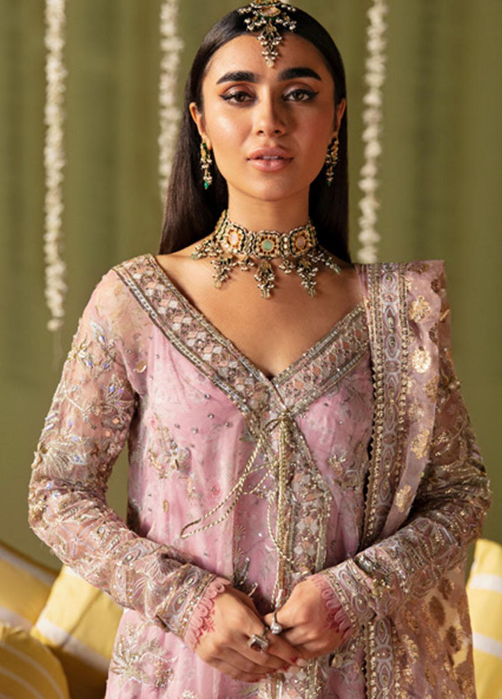 Jhoomro By Nureh Embroidered Organza Suits Unstitched 4 Piece NU23JH NL-54 Rhim Jhim - Luxury Formal Collection