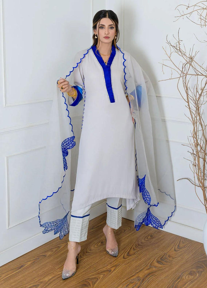 Jooray Kapray Pret Luxury  3 Piece Suit Silver Lining