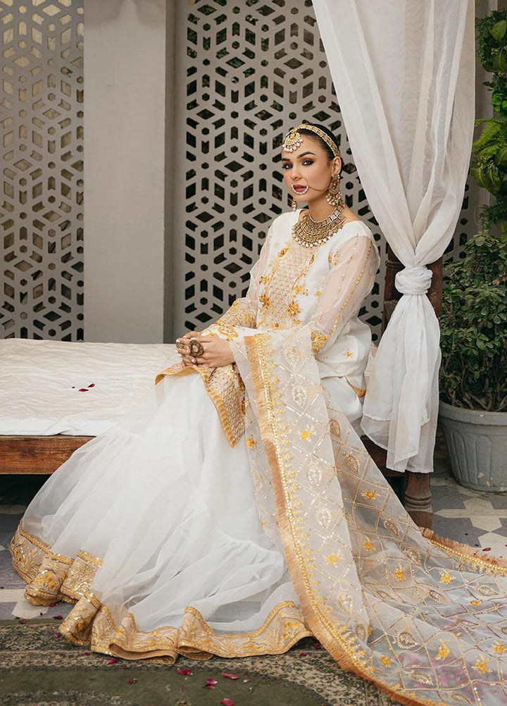 Kahani By Daud Abbas Embroidered Organza Suits Unstitched 3 Piece DA23K Tamana - Luxury Collection