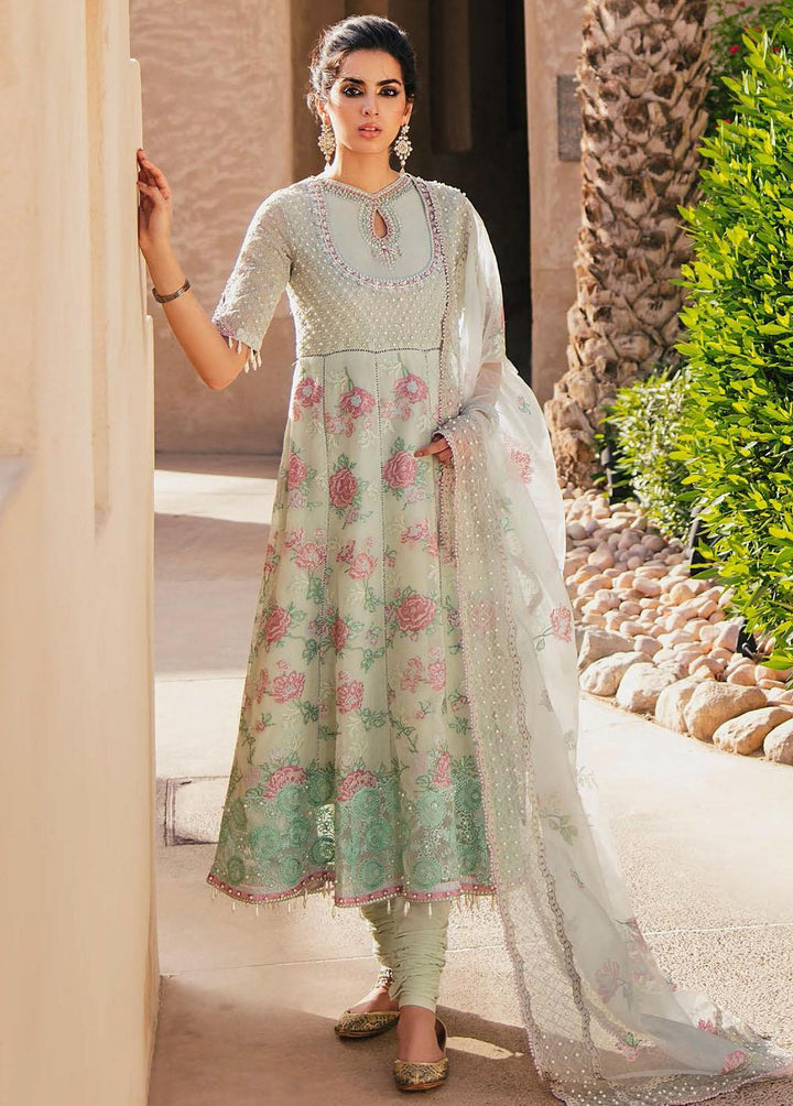 Kahani by Mushq Embroidered Cotton Net Suits Unstitched 3 Piece MQ22K MLF22 08 - Luxury Collection