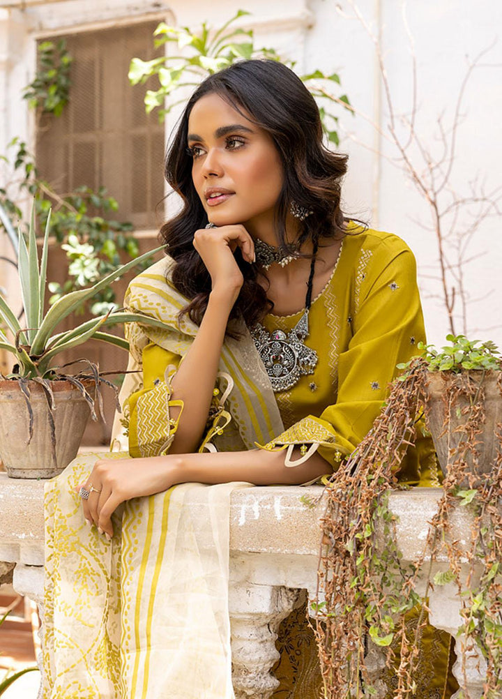 Kalyan By ZS Textiles Embroidered Lawn Suits Unstitched 3 Piece ZS23K D3 - Summer Collection