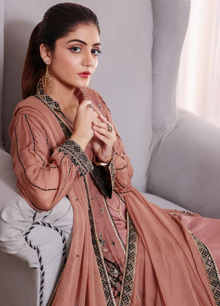 Kalyan By ZS Textiles Embroidered Chiffon Suits Unstitched 3 Piece KLY23C KLC23-3 - Luxury Collection