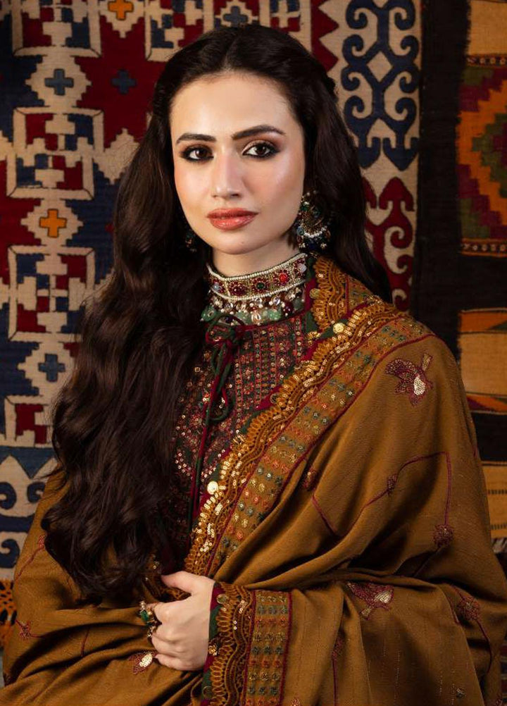 Kashmiri Taanka By Asim Jofa Embroidered Twill Suits Unstitched 3 Piece AJ23KT AJKT-10 - Winter Collection