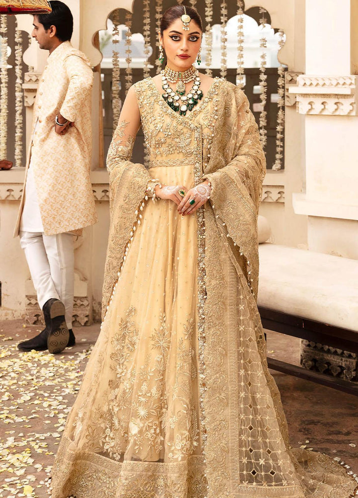 Kayseria By Serene Premium Embroidered Net Suits Unstitched 3 Piece SP24KS SB-17 Siara  - Wedding Collection