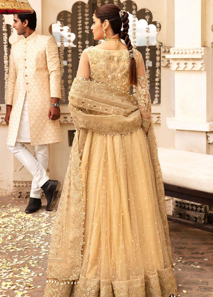 Kayseria By Serene Premium Embroidered Net Suits Unstitched 3 Piece SP24KS SB-17 Siara  - Wedding Collection