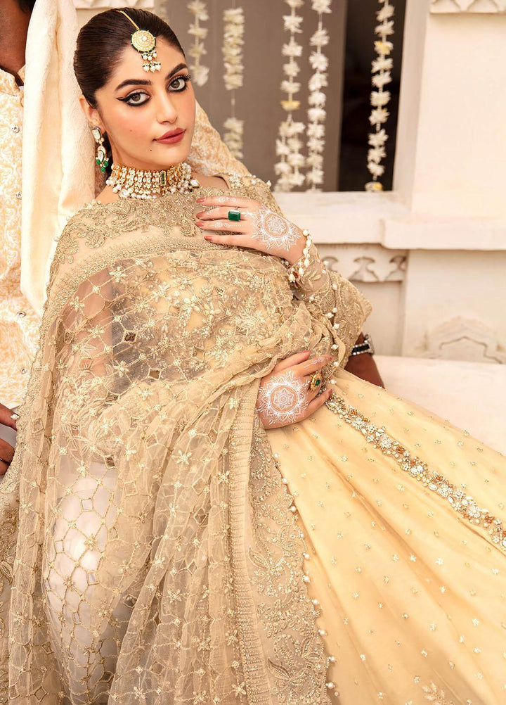 Kayseria By Serene Premium Embroidered Net Suits Unstitched 3 Piece SP24KS SB-17 Siara  - Wedding Collection