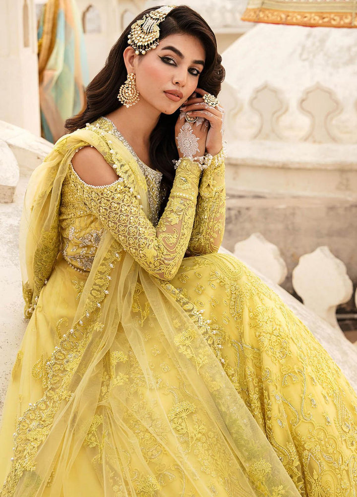 Kayseria By Serene Premium Embroidered Net Suits Unstitched 4 Piece SP24KS SB-18 Zard - Wedding Collection