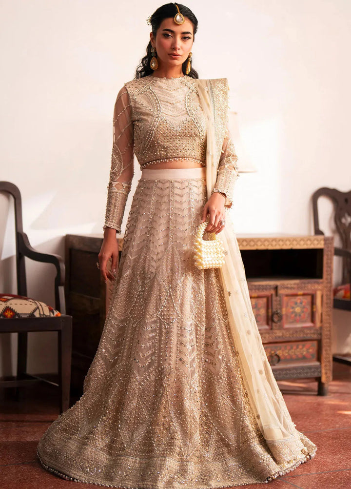 Khatoon By Eleshia Embroidered Net Suit Unstitched 3 Piece ELS24K Zeina - Luxury Collection