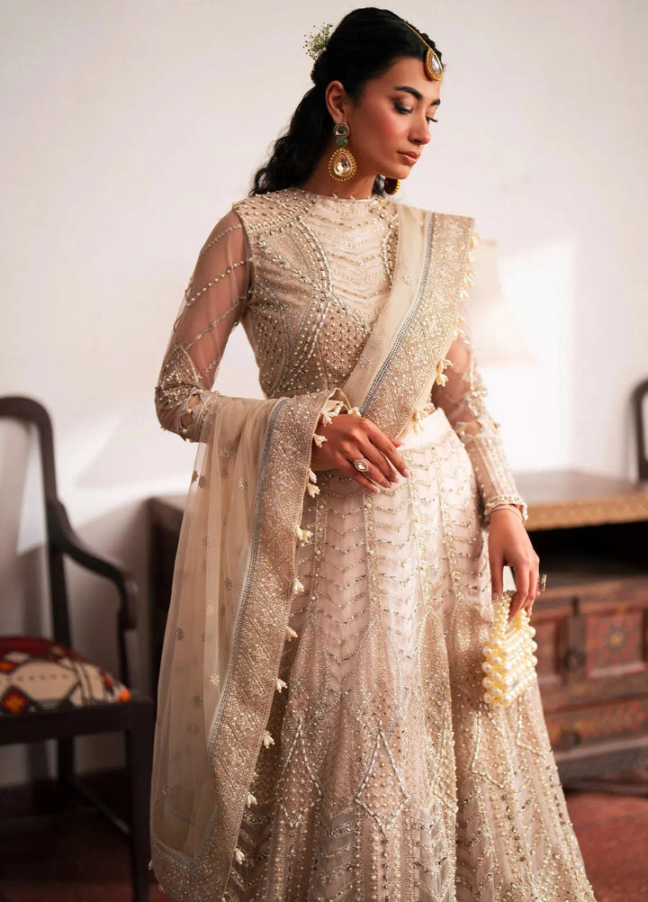 Khatoon By Eleshia Embroidered Net Suit Unstitched 3 Piece ELS24K Zeina - Luxury Collection