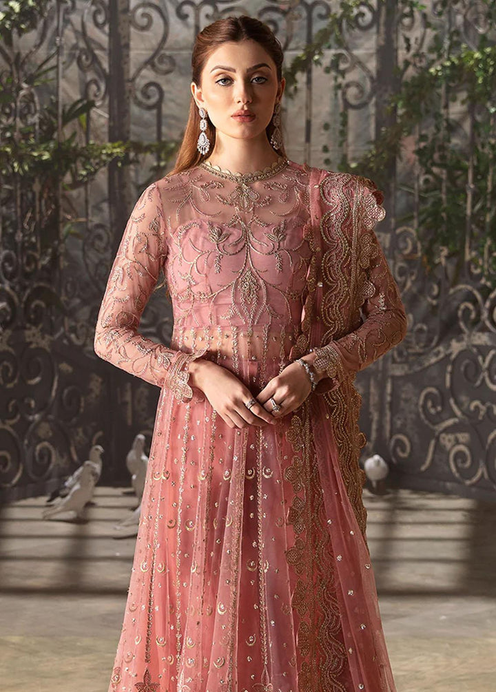 La Fuchsia By Afrozeh Embroidered Net Suits Unstitched 3 Piece AF24LF D-07 Rosa - Wedding Collection