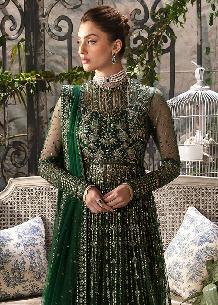 La Fuchsia By Afrozeh Embroidered Net Suits Unstitched 3 Piece AF24LF D-08 Fiora - Wedding Collection