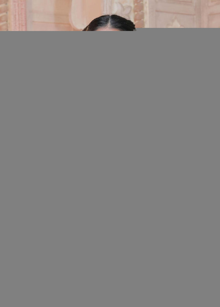 Lakhany Embroidered Net Suits Unstitched 3 Piece LSM21LE LEC-5028 - Luxury Collection