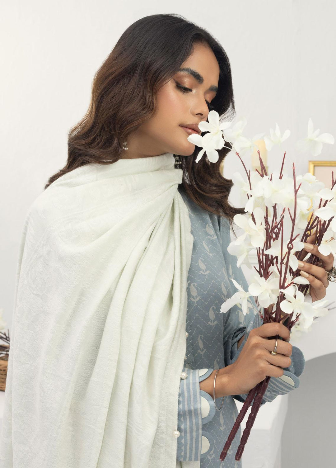 Lakhany Printed Pashmina Suits Unstitched 3 Piece LSM23PS LG-SR-0131-B - Winter Collection