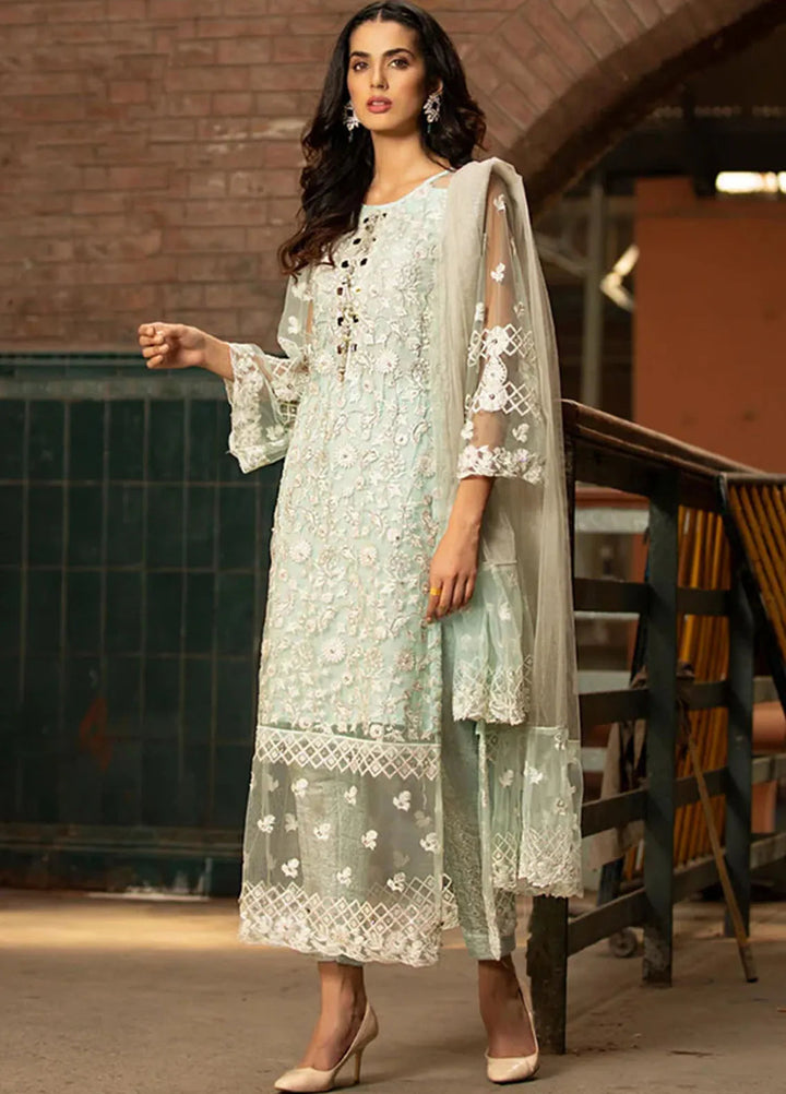 Lallaria By Noorma Kaamal Embroidered Net Suit Unstitched 3 Piece NK24LC NK-CC-02 - Formal Collection