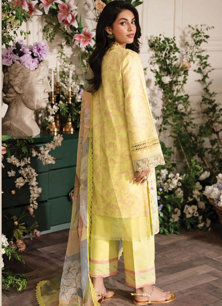 Lifestyle by Rang Rasiya Embroidered Lawn Suit Unstitched 3 Piece RR24LE Sun Kissed - Summer Collection