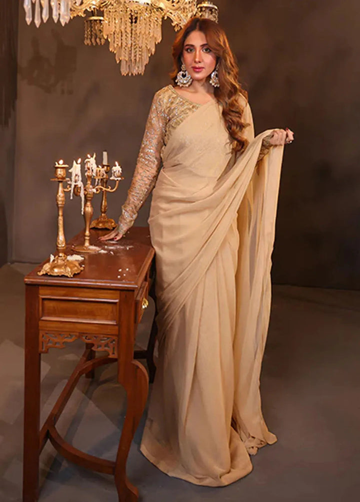 Luxe Layers by Nazmina Pret Embroidered Net Saree Celestial Glow LL-03