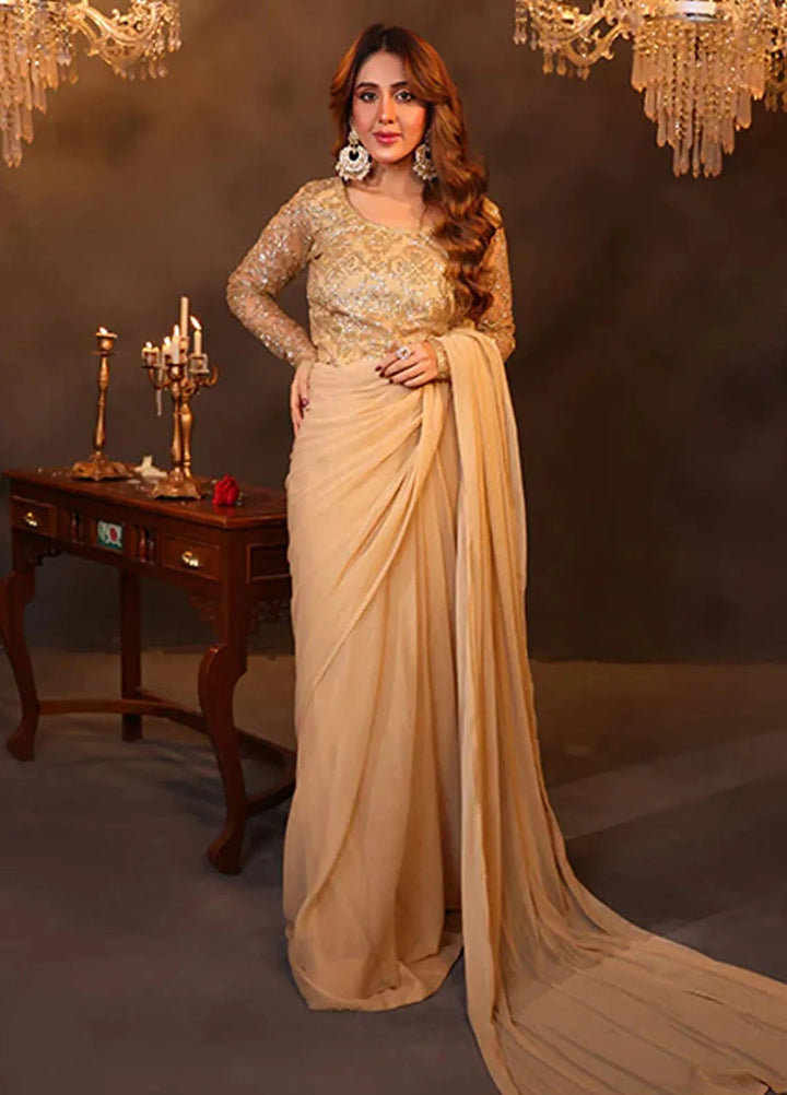 Luxe Layers by Nazmina Pret Embroidered Net Saree Celestial Glow LL-03