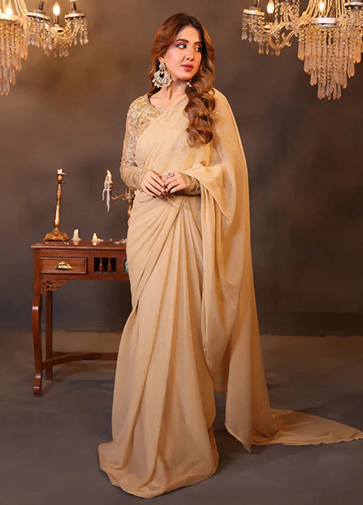 Luxe Layers by Nazmina Pret Embroidered Net Saree Celestial Glow LL-03