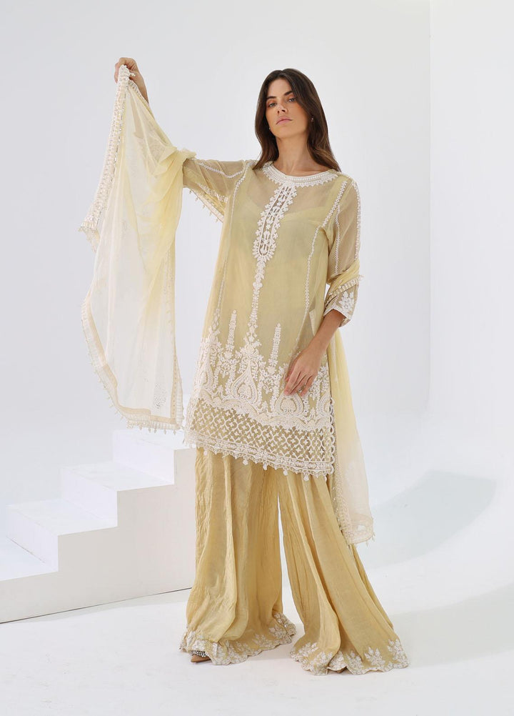 LYLA Embroidered Cotton Net Suits Unstitched 3 Piece LY22L-2 D-03 - Luxury Collection