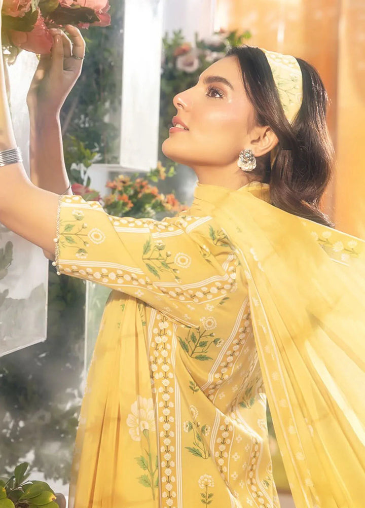 M Basics by Maria B Printed Lawn Suit Unstitched 3 Piece MB25BL D-11A - Summer Collection