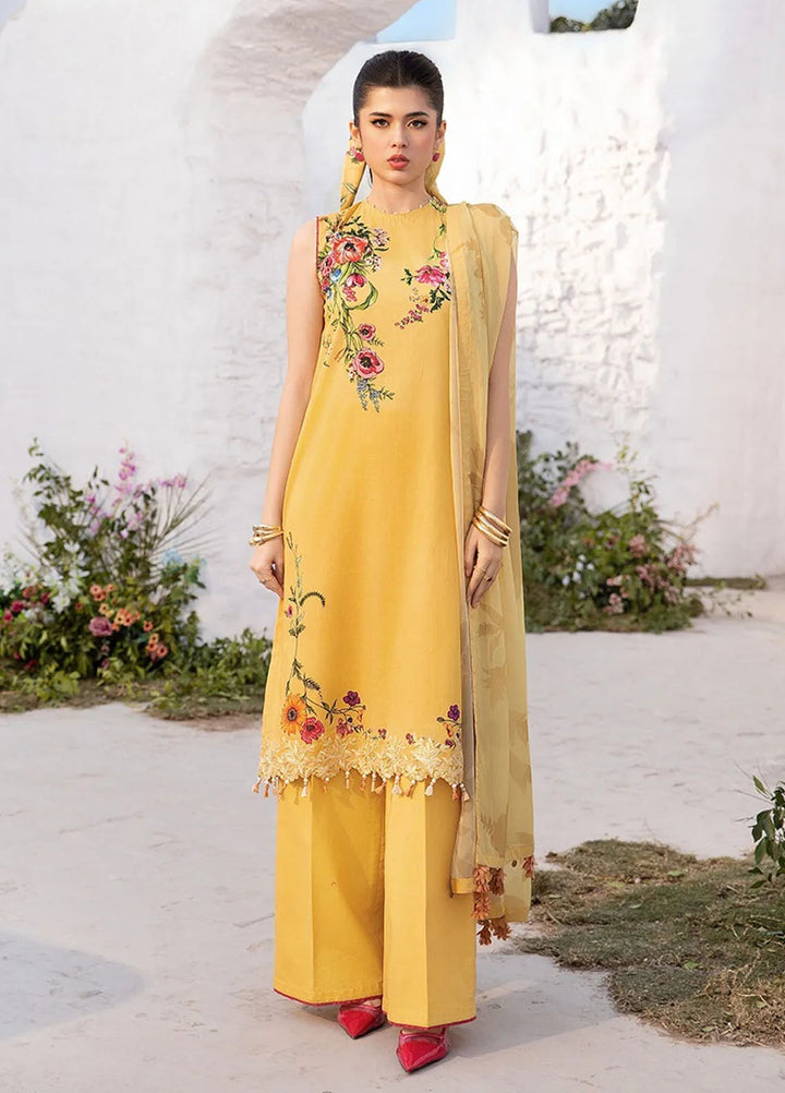 M Basics by Maria B Printed Lawn Suit Unstitched 3 Piece MB25BL D-12A - Summer Collection