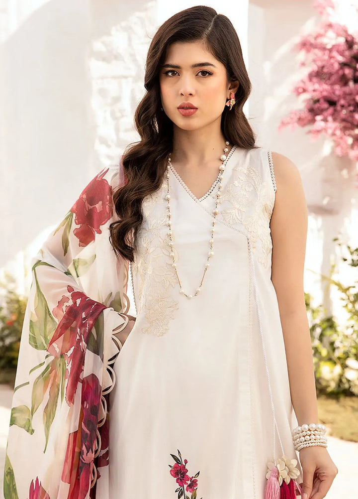 M Basics by Maria B Printed Lawn Suit Unstitched 3 Piece MB25BL D-1B - Summer Collection