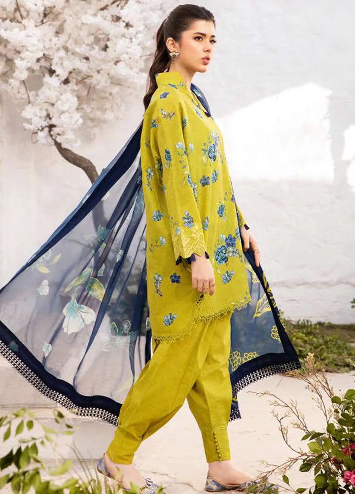 M Basics by Maria B Printed Lawn Suit Unstitched 3 Piece MB25BL D-2A - Summer Collection