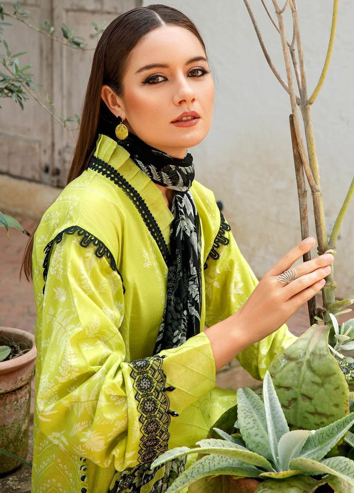 M Basics By Maria B Embroidered Lawn Suits Unstitched 2 Piece MB23MB 7-A - Spring / Summer Collection