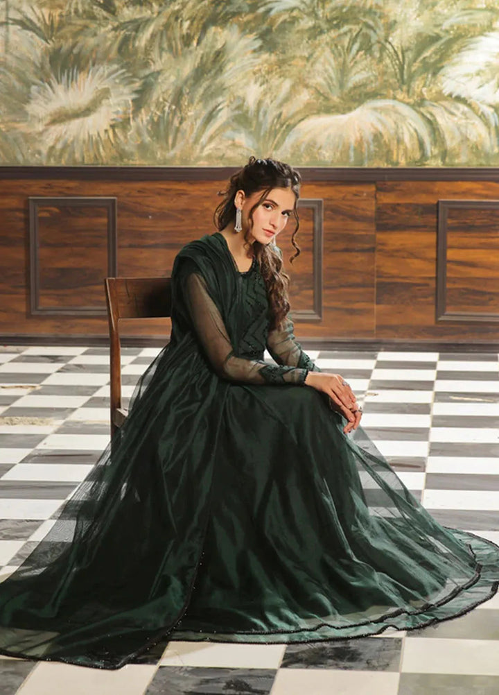 Mah e Noor by Rehan N Muzammil Pret Embroidered Khadi Net 2 Piece Suit Bellerose