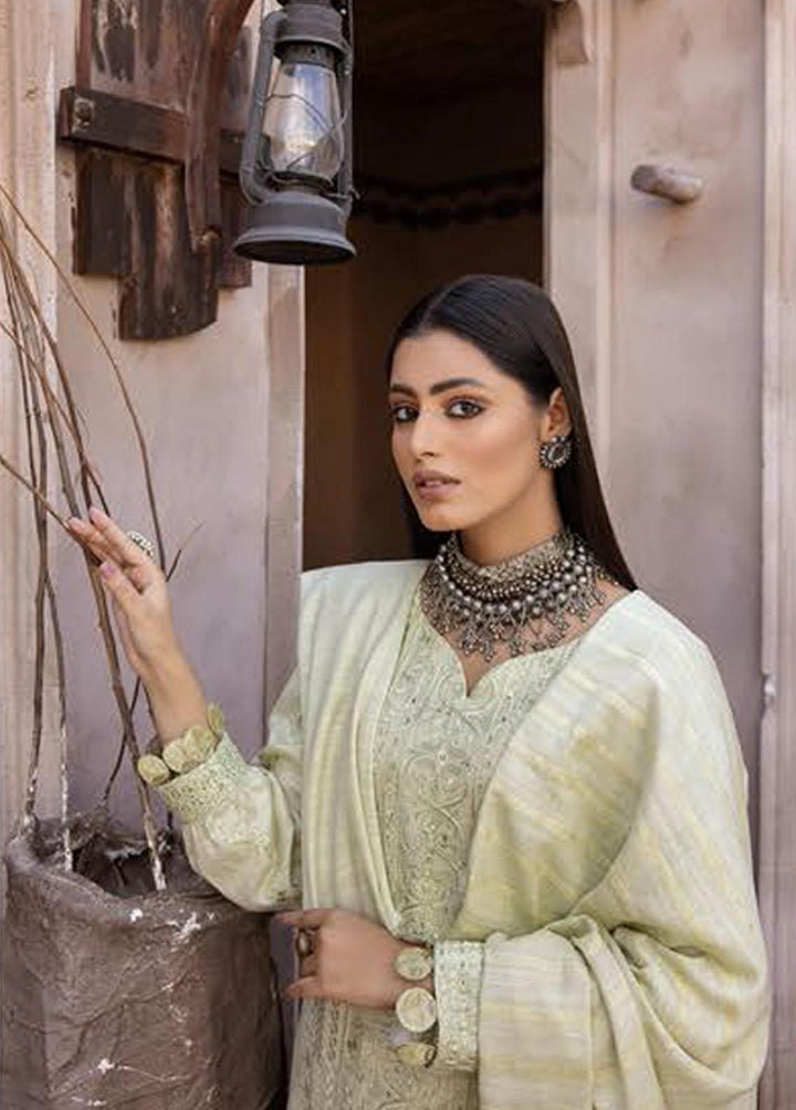 Mahee's By Riaz Arts Embroidered Leather Peach Suits Unstitched 3 Piece RA22-M7 11 - Winter Collection