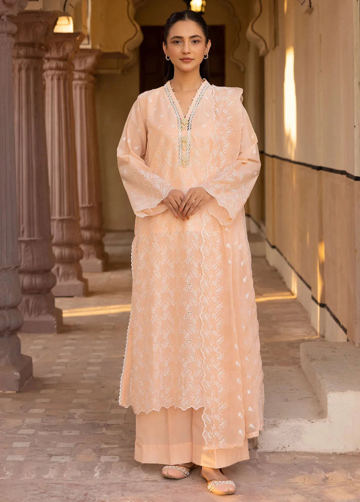 Mahees Aghaz by Riaz Arts Embroidered Lawn Suits Unstitched 3 Piece RA25AM D-01 Extravagant - Summer Collection