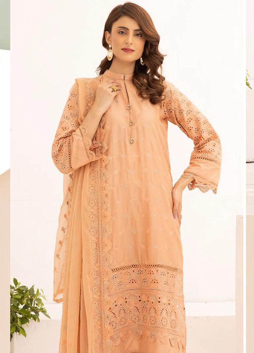 Mahees By Riaz Arts Embroidered Chikankari Lawn Suits Unstitched 3 Piece RA23M D-04 - Summer Collection