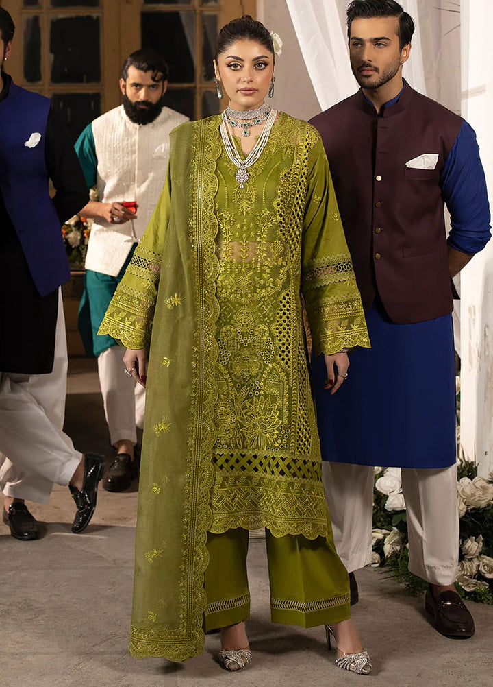 Mahrukh by Mahnur Embroidered Lawn Suits Unstitched 3 Piece MN24MK D2-B Malva - Summer Collection