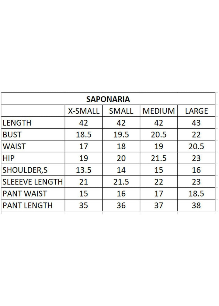 Mahum Asad Luxury Pret  Organza 2 Piece SAPONARIA