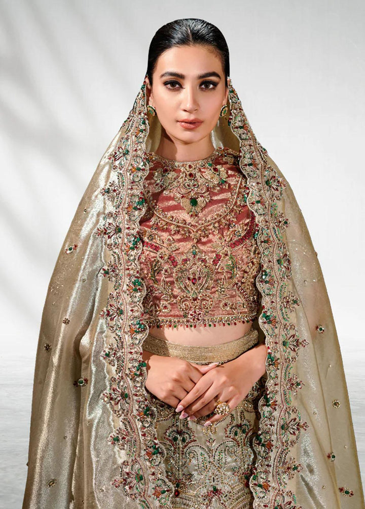 Malook By Shazia Ovais Pret Embroidered Tissue 3 Piece Suit MLK23B Ameera